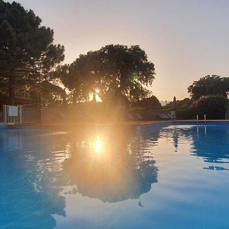 Fiori Di Cala Rossa Appartement T3 Dans Residence Hotelliere Chez Virginie Lecci Zewnętrze zdjęcie