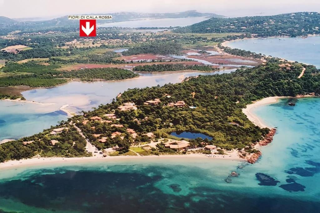 Fiori Di Cala Rossa Appartement T3 Dans Residence Hotelliere Chez Virginie Lecci Zewnętrze zdjęcie