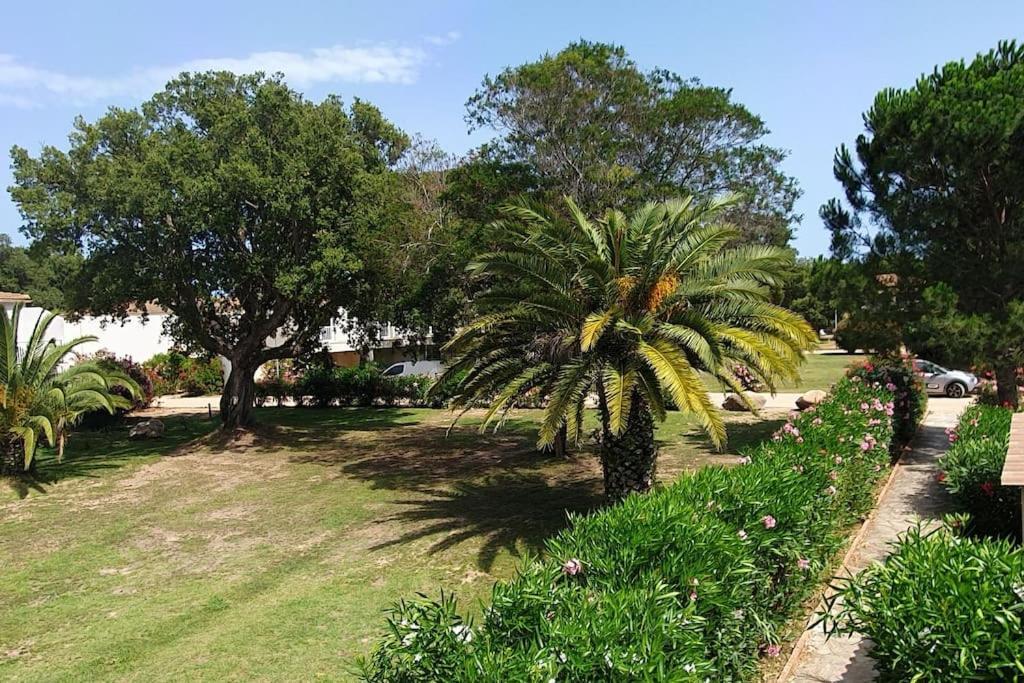 Fiori Di Cala Rossa Appartement T3 Dans Residence Hotelliere Chez Virginie Lecci Zewnętrze zdjęcie